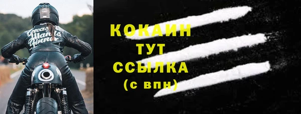 прущие грибы Беломорск